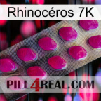Rhinocéros 7K 09
